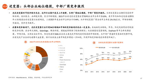 光伏產業全景圖 N型技術驅動變革，一體化擴產與競爭加劇